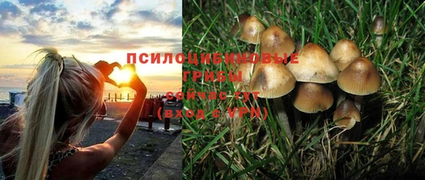 прущая мука Бутурлиновка