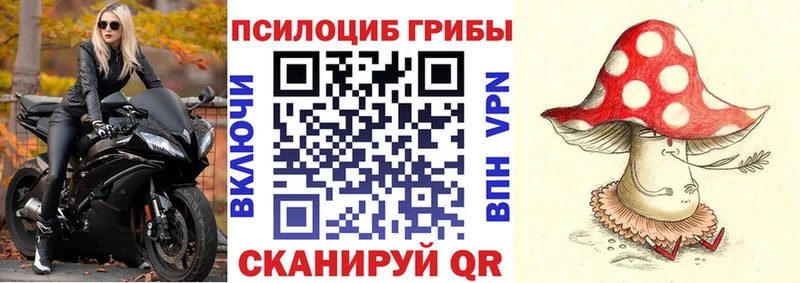 как найти закладки  мега ONION  Псилоцибиновые грибы Psilocybine cubensis  Иркутск 