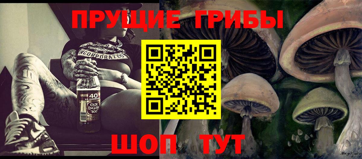 Псилоцибиновые грибы Cubensis Иркутск