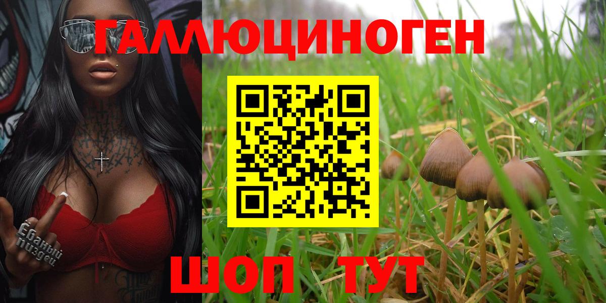 Галлюциногенные грибы Magic Shrooms  Вход с VPN  где продают наркотики  Иркутск 