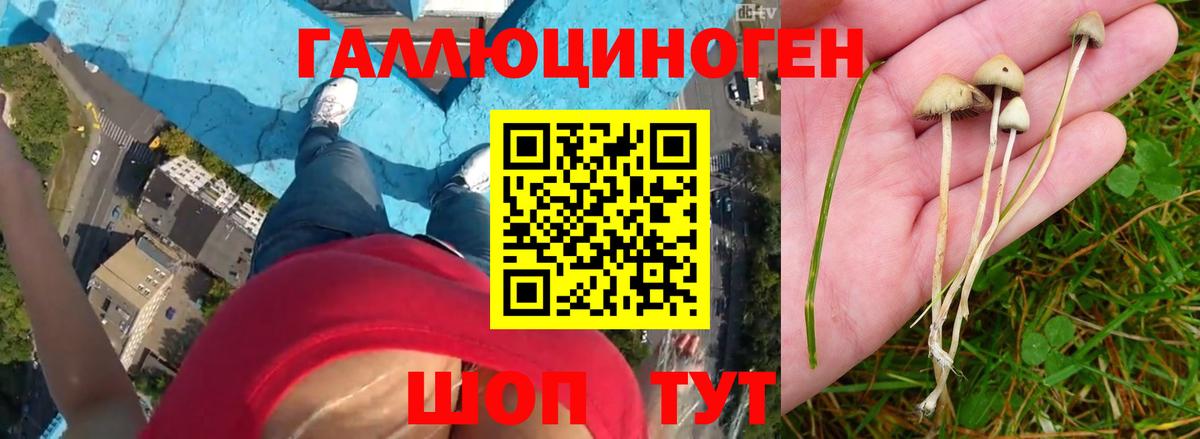 Псилоцибиновые грибы MAGIC MUSHROOMS  Иркутск 